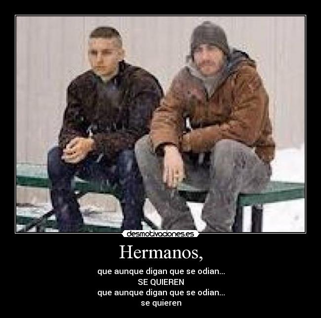 carteles hermanos desmotivaciones