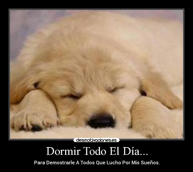 Dormir Todo El Día... -