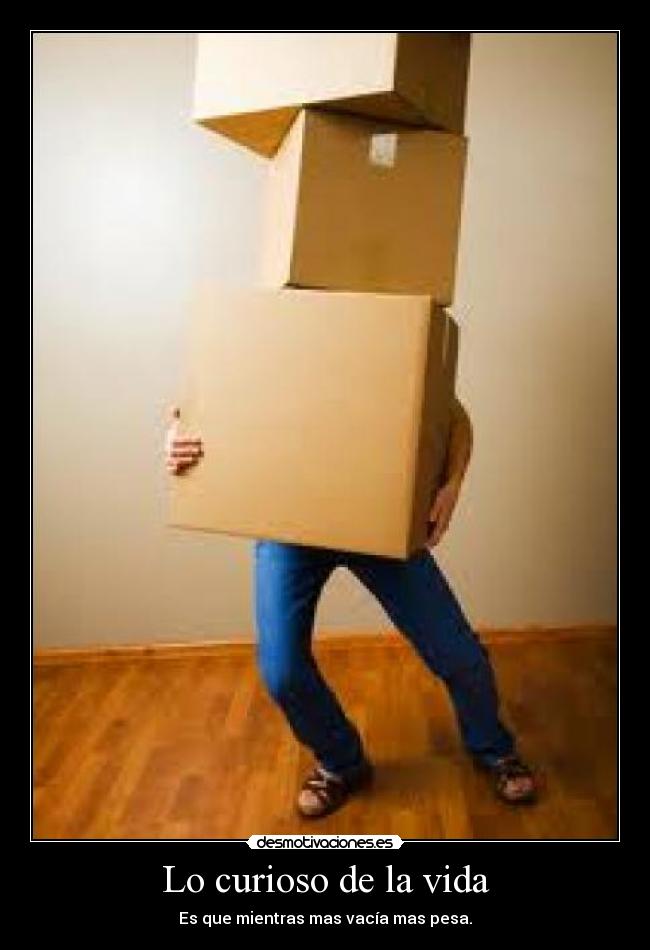 Lo curioso de la vida - 