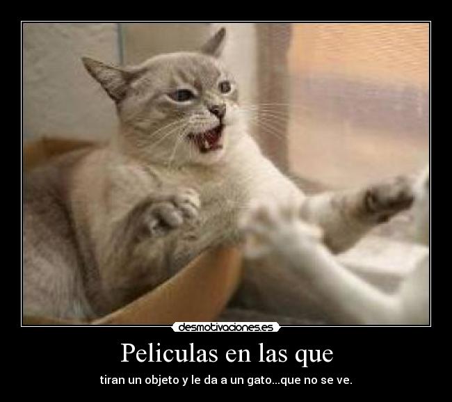 carteles r13 desmotivaciones