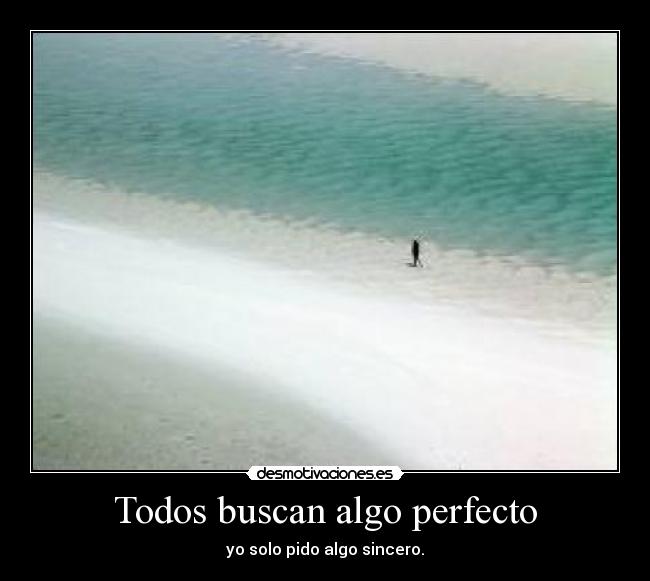 Todos buscan algo perfecto - 