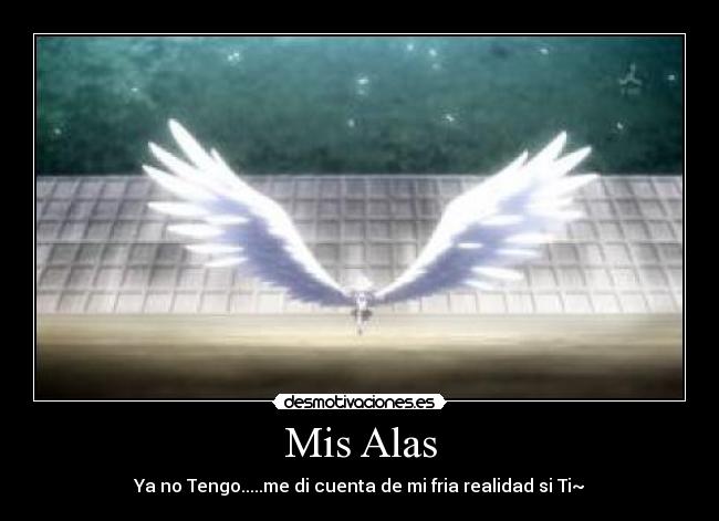 Mis Alas - Ya no Tengo.....me di cuenta de mi fria realidad si Ti~