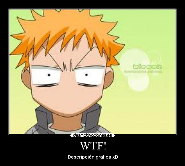 WTF! - 
