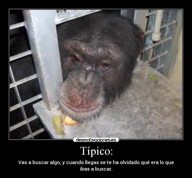 Típico: - Vas a buscar algo, y cuando llegas se te ha olvidado qué era lo que ibas a buscar.