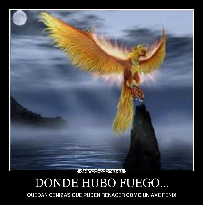 DONDE HUBO FUEGO... - 