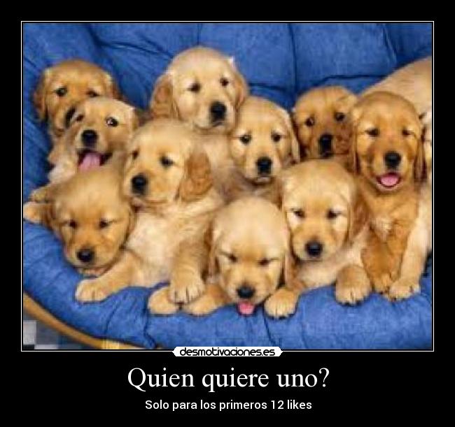 carteles que tiernos desmotivaciones