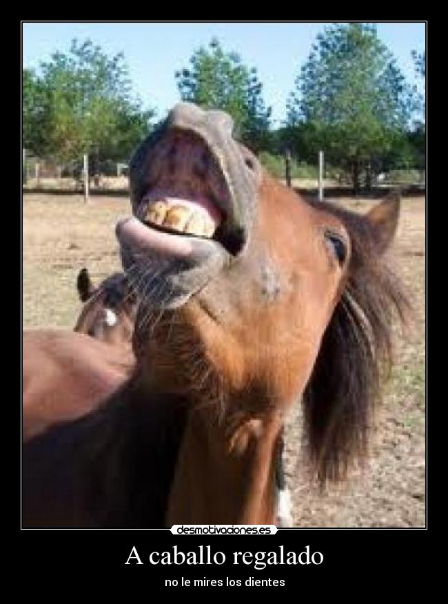 A caballo regalado - no le mires los dientes