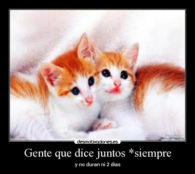 Gente que dice juntos *siempre -