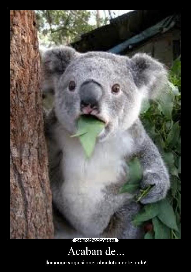 Acaban de... - llamarme vago si acer absolutamente nada!