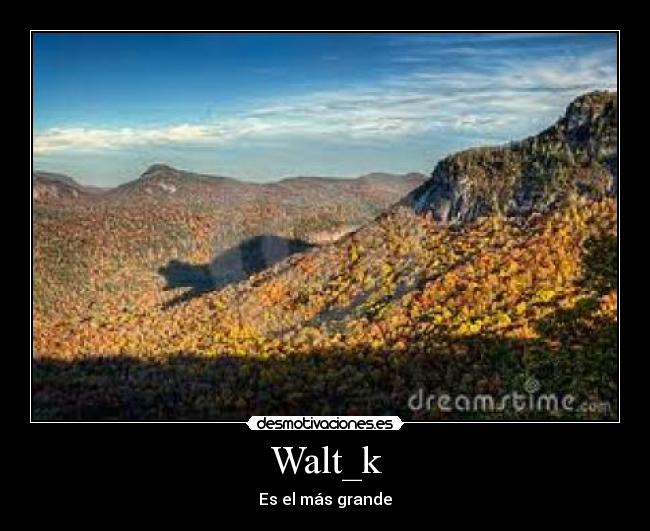 Walt_k - 