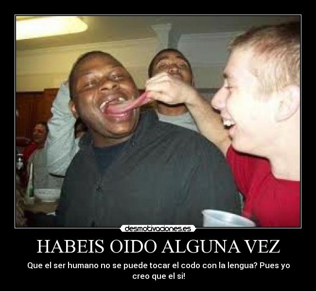 HABEIS OIDO ALGUNA VEZ -