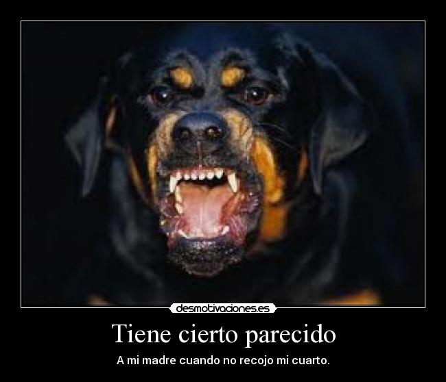 Tiene cierto parecido -