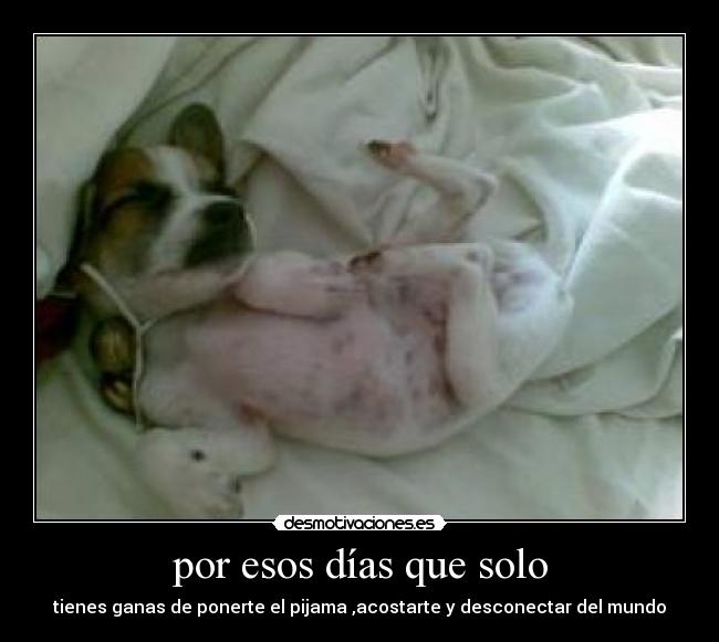 por esos días que solo -