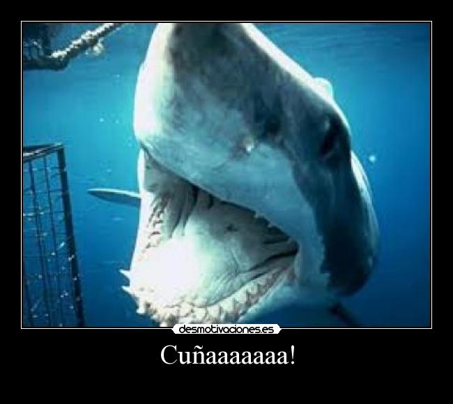 Cuñaaaaaaa! - 