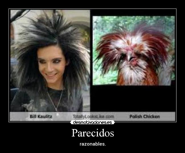 Parecidos - razonables.