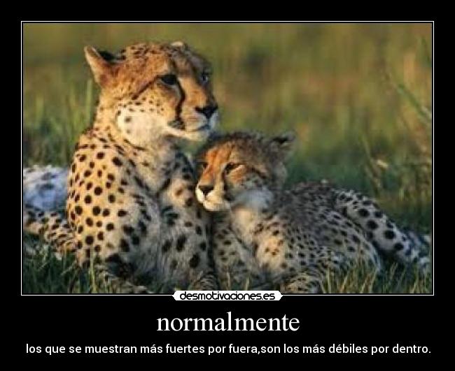 normalmente - los que se muestran más fuertes por fuera,son los más débiles por dentro.