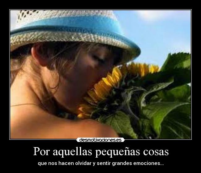 Por aquellas pequeñas cosas - que nos hacen olvidar y sentir grandes emociones...