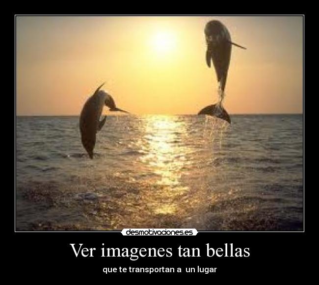 Ver imagenes tan bellas -