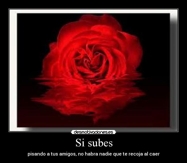 Si subes - pisando a tus amigos, no habra nadie que te recoja al caer