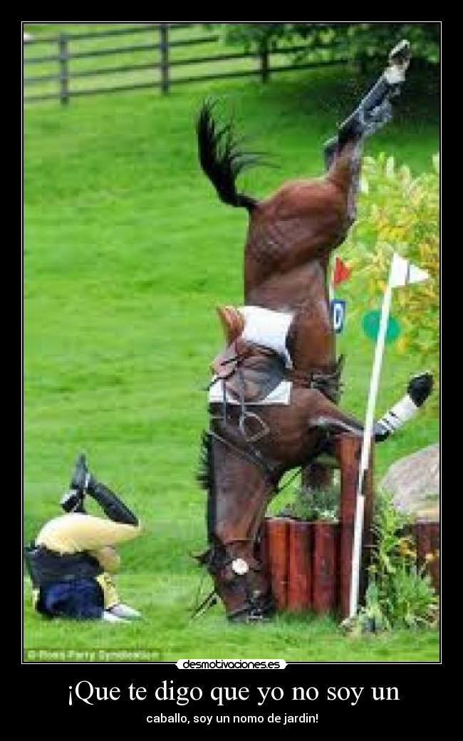 ¡Que te digo que yo no soy un - 