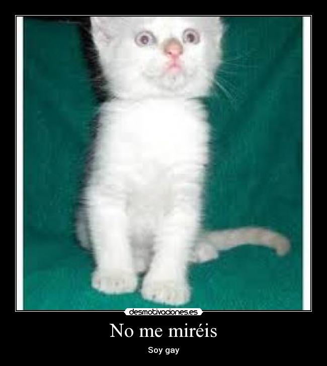 No me miréis - Soy gay