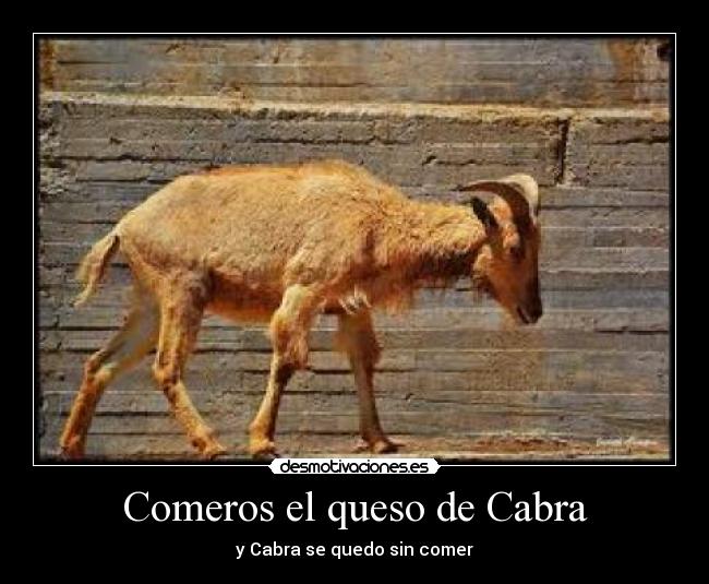 Comeros el queso de Cabra -