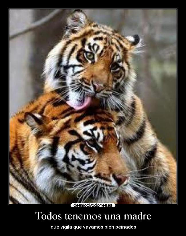 Todos tenemos una madre - que vigila que vayamos bien peinados