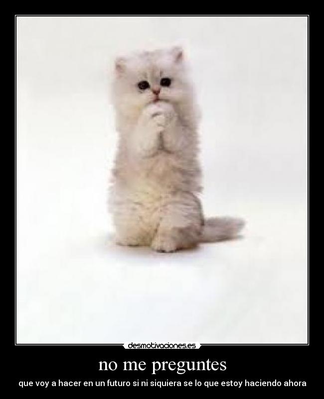 carteles preguntes desmotivaciones