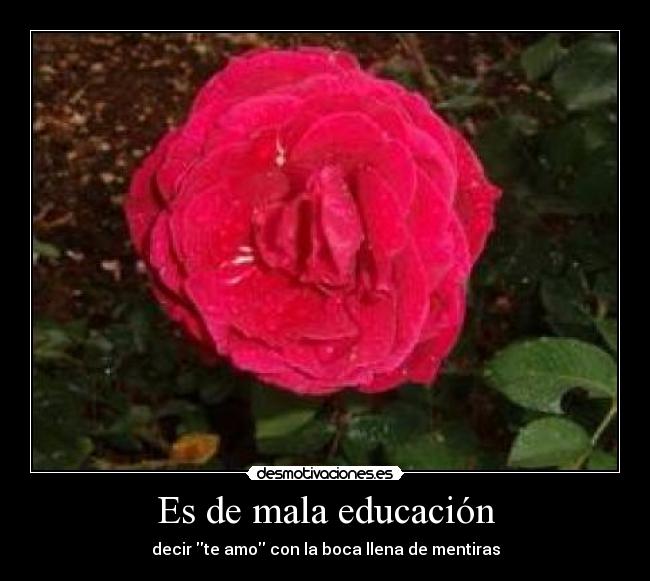 carteles amo desmotivaciones