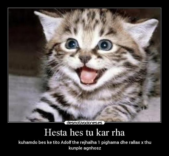 Hesta hes tu kar rha - kuhamdo bes ke tito Adolf the rejhalha 1 pighama dhe rallax x thu kunple agnhosz