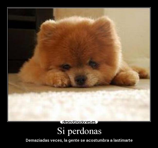 Si perdonas - Demaziadas veces, la gente se acostumbra a lastimarte