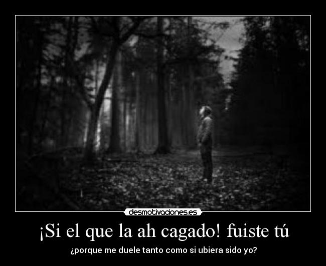 ¡Si el que la ah cagado! fuiste tú -