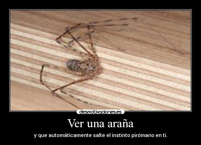Ver una araña - y que automáticamente salte el instinto pirómano en ti.