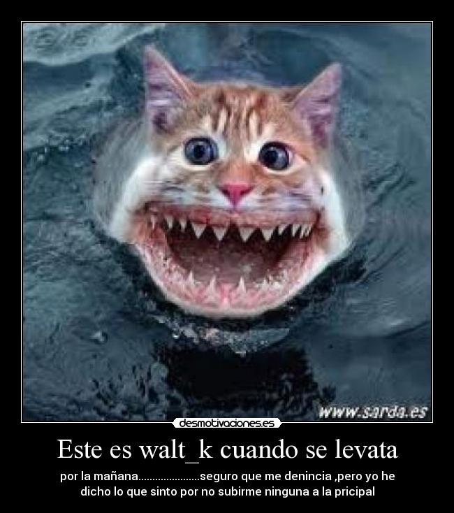 Este es walt_k cuando se levata - por la mañana......................seguro que me denincia ,pero yo he
dicho lo que sinto por no subirme ninguna a la pricipal