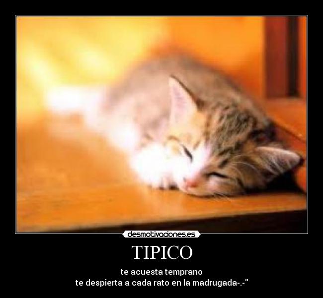 TIPICO -