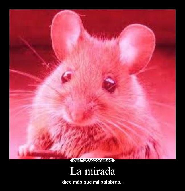 La mirada - dice màs que mil palabras...