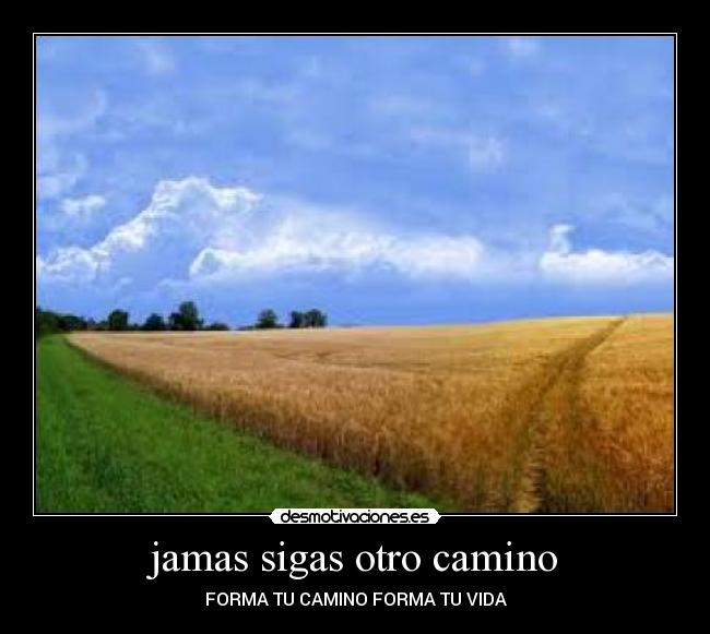 jamas sigas otro camino -
