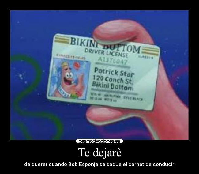 carteles laurittahpasodeti desmotivaciones