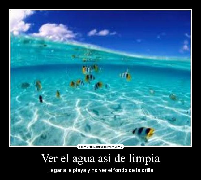 Ver el agua así de limpia - llegar a la playa y no ver el fondo de la orilla
