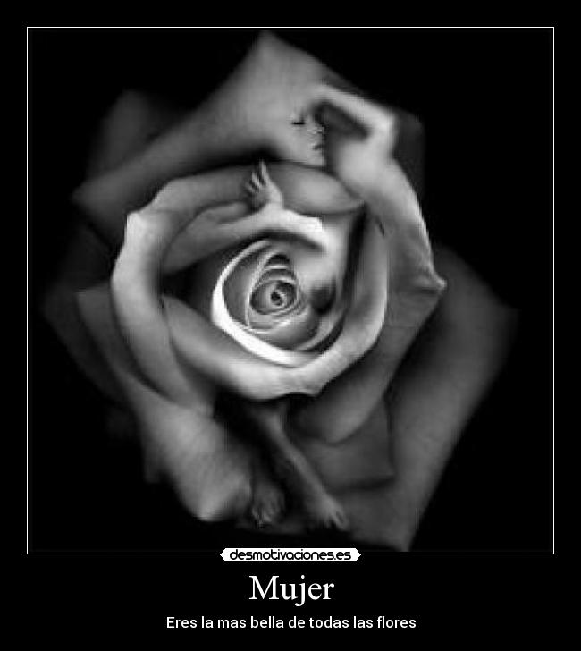 carteles mujer mas bello desmotivaciones