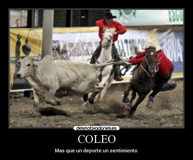 COLEO -