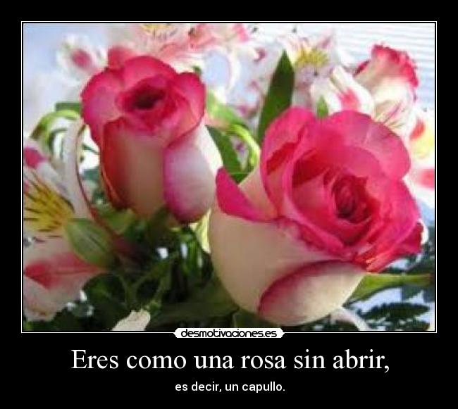 carteles rosa sin abrir desmotivaciones