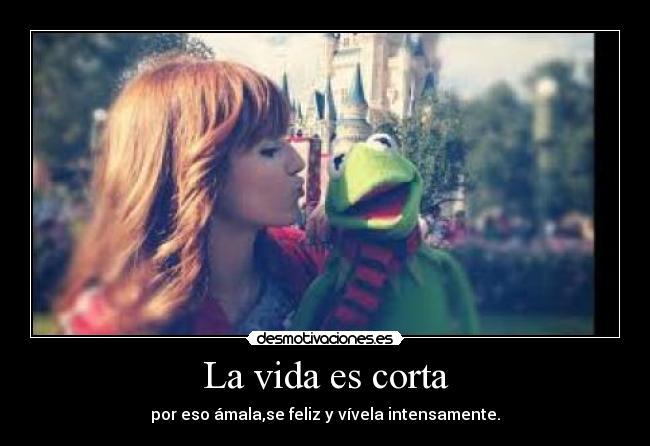 La vida es corta - 