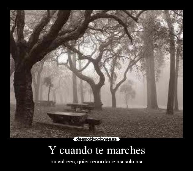 Y cuando te marches - 