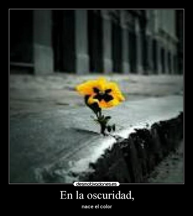 En la oscuridad, - 