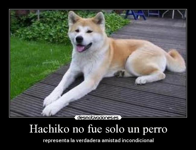 Hachiko no fue solo un perro - 
