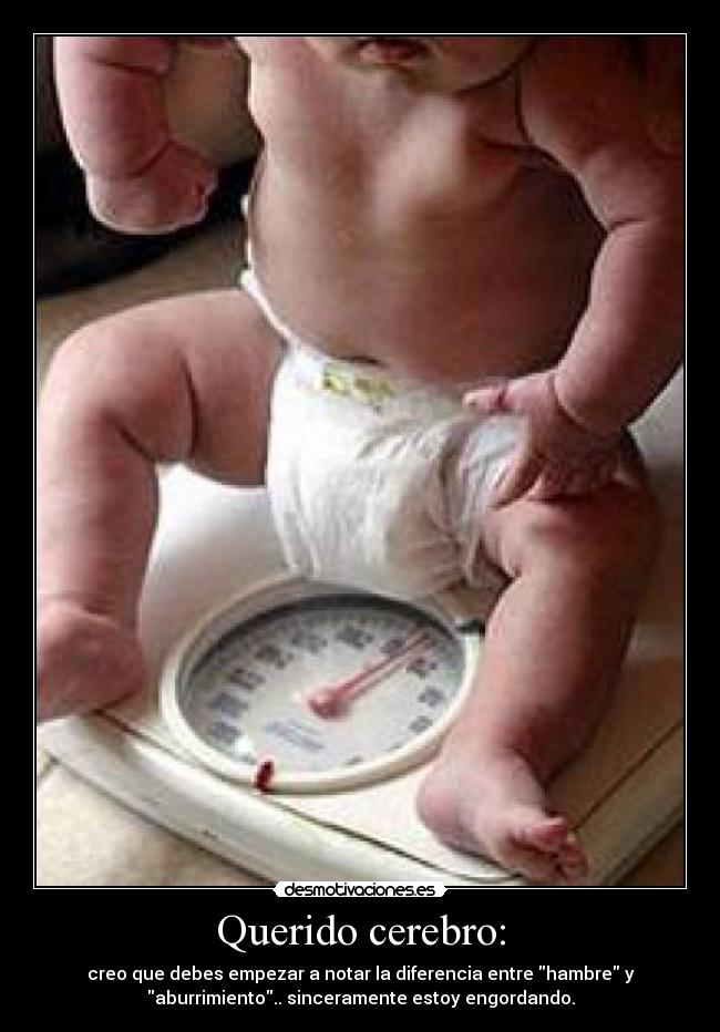 Querido cerebro: -
