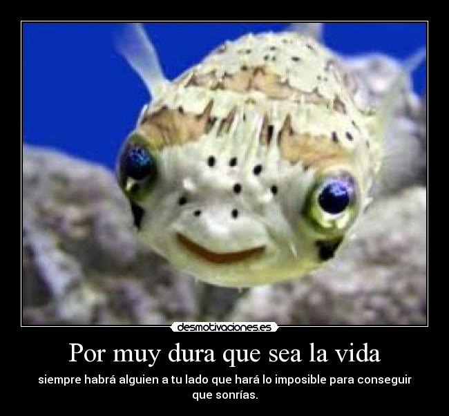 Por muy dura que sea la vida - siempre habrá alguien a tu lado que hará lo imposible para conseguir que sonrías.