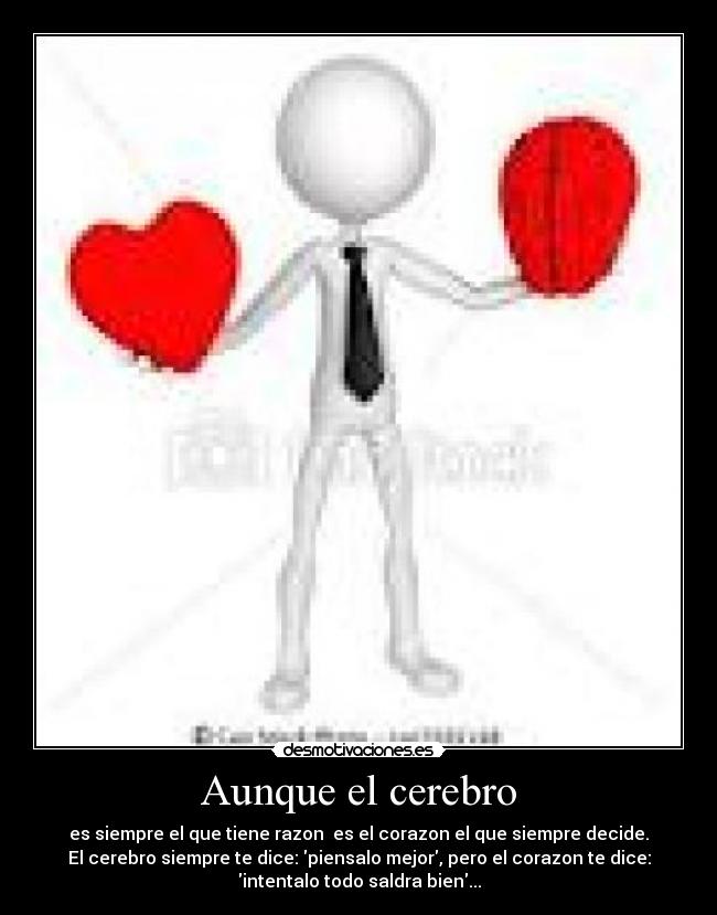 Aunque el cerebro - es siempre el que tiene razon es el corazon el que siempre decide.
El cerebro siempre te dice: piensalo mejor, pero el corazon te dice:
intentalo todo saldra bien...