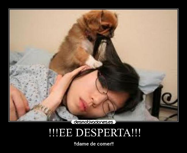 !!!EE DESPERTA!!! - !!dame de comer!!